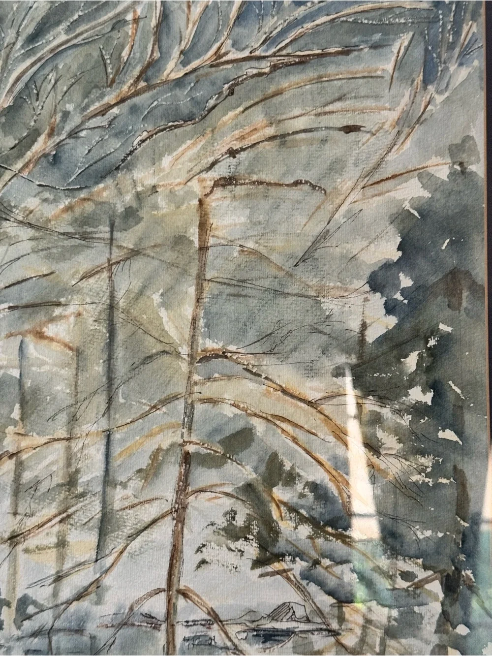 Vintage 1985 Original Watercolor B. Cady Black Forest Germany Framed Art